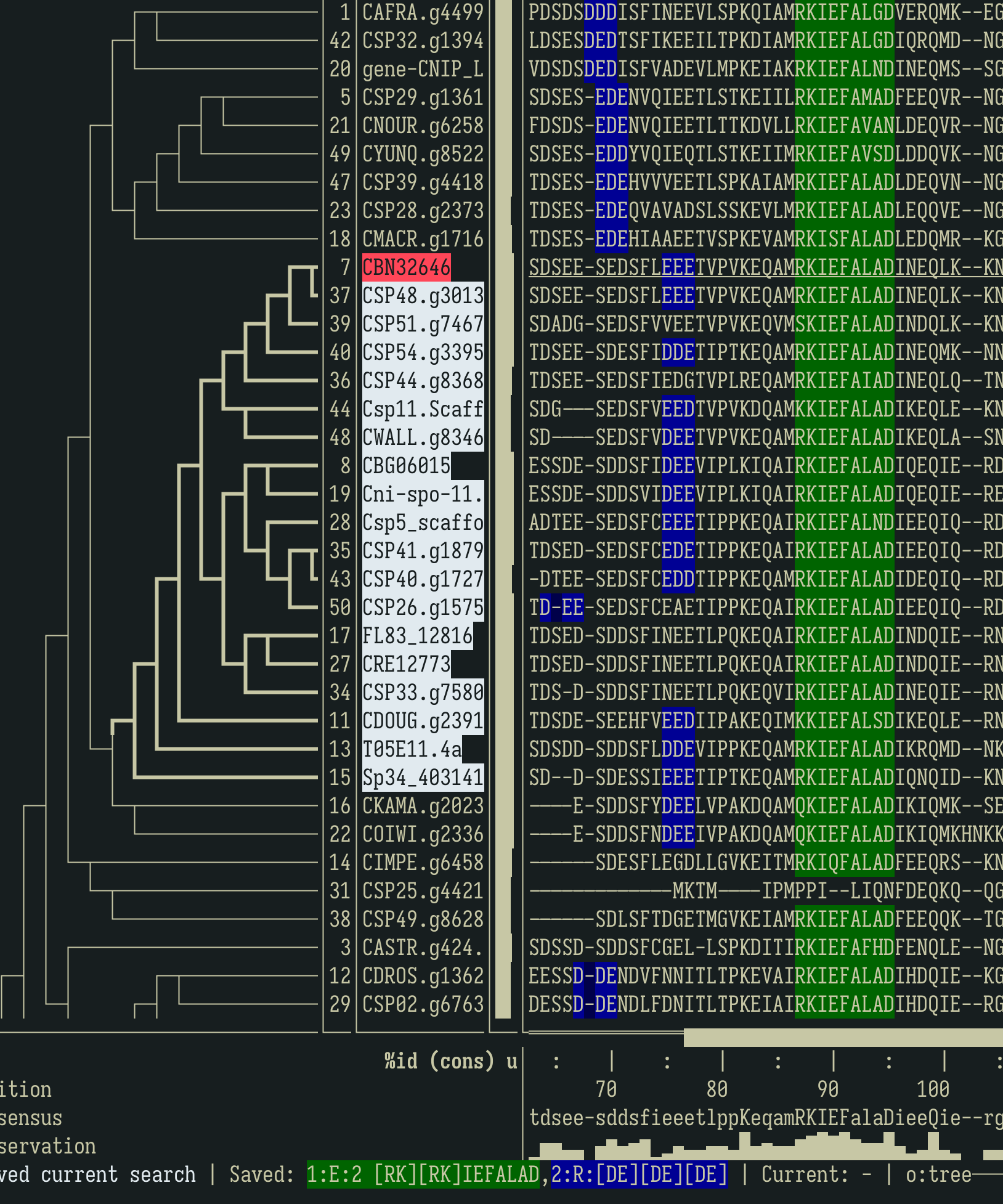 msafara running in a terminal window